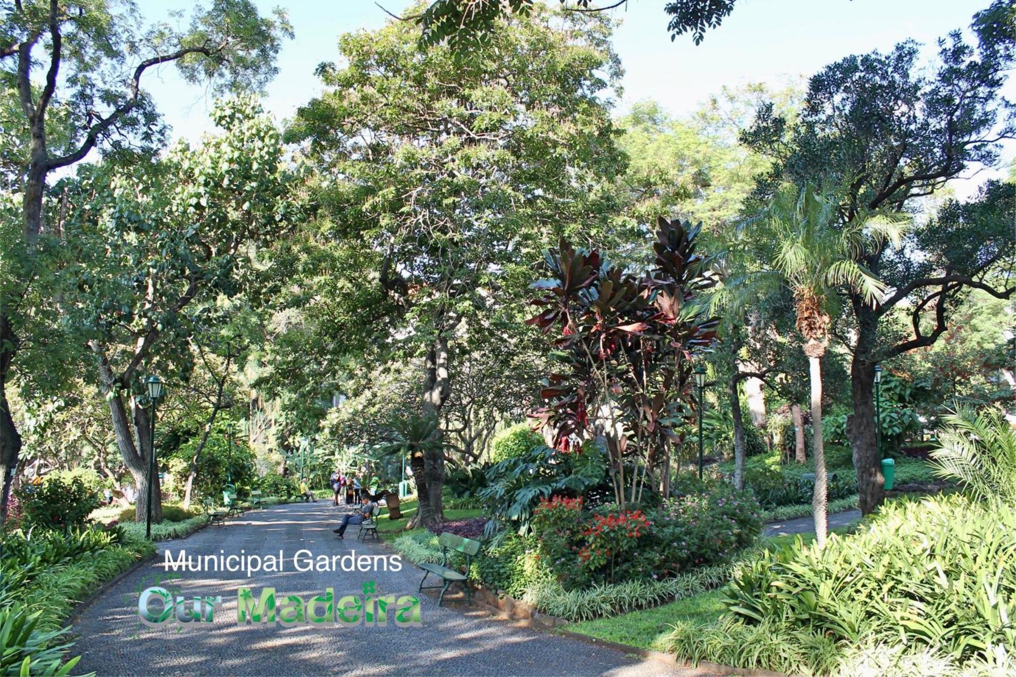 Ourmadeira - Vintage Garden Apartment Фуншал Экстерьер фото