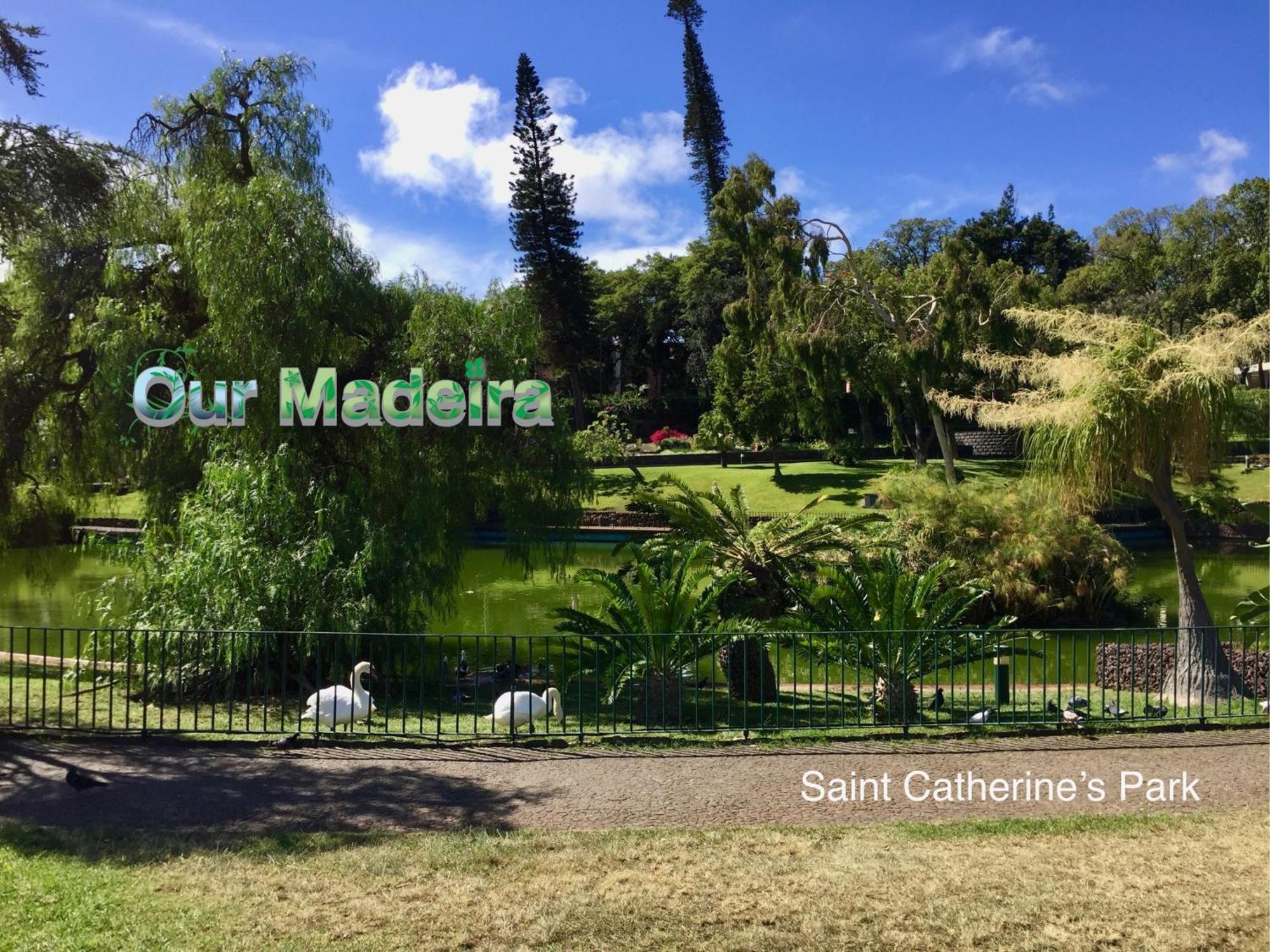 Ourmadeira - Vintage Garden Apartment Фуншал Экстерьер фото