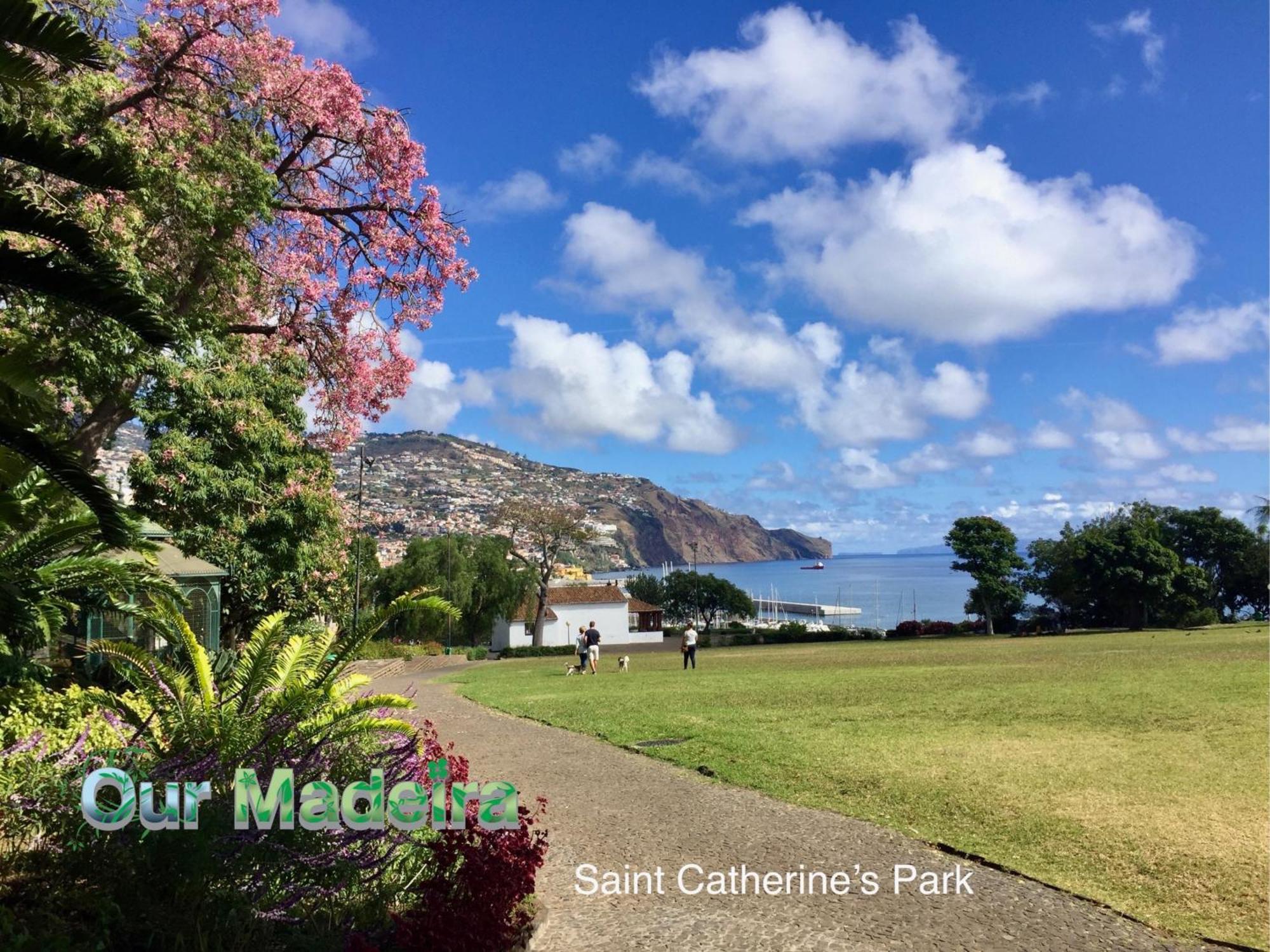 Ourmadeira - Vintage Garden Apartment Фуншал Экстерьер фото